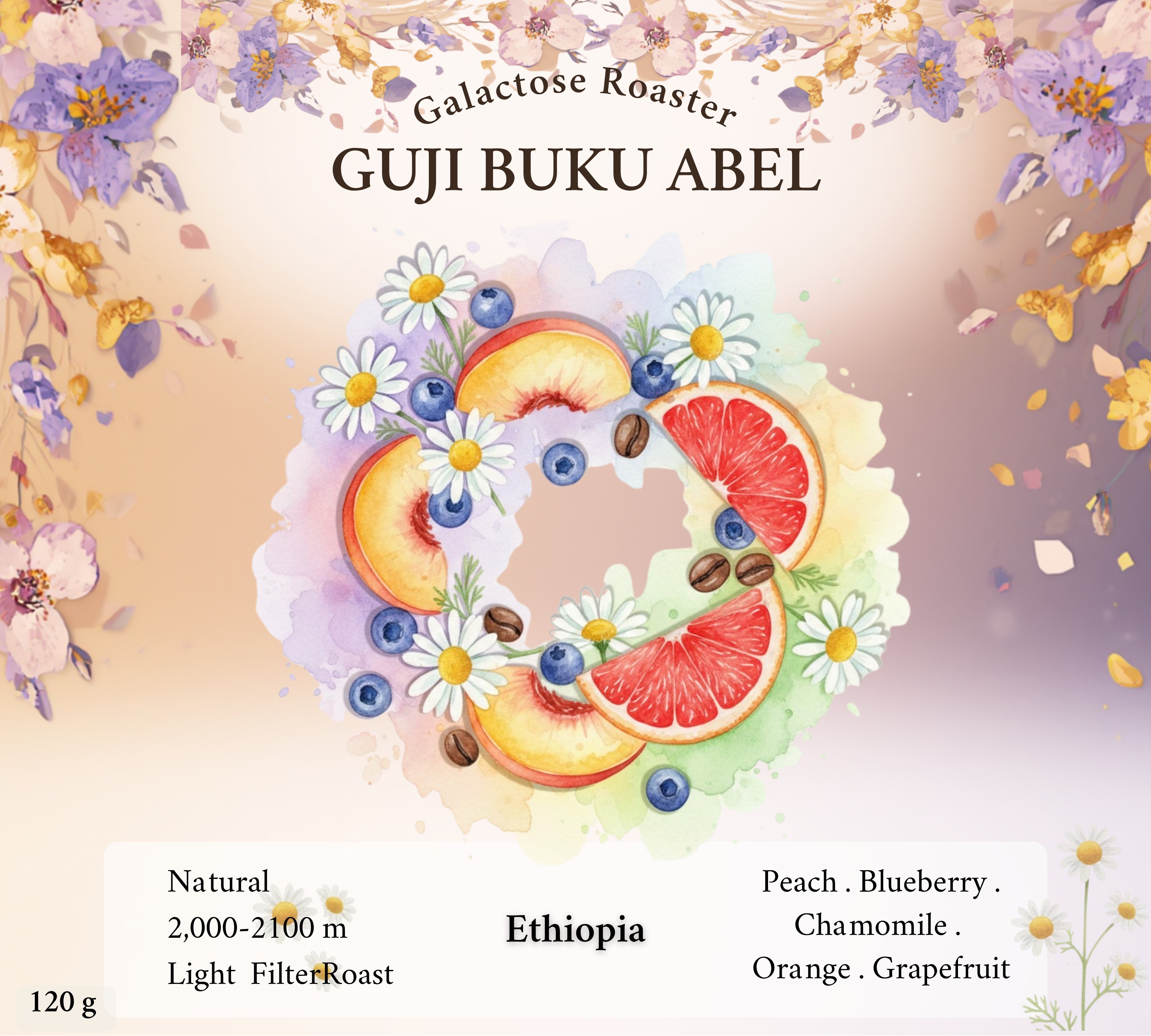 Guji Buku Abel