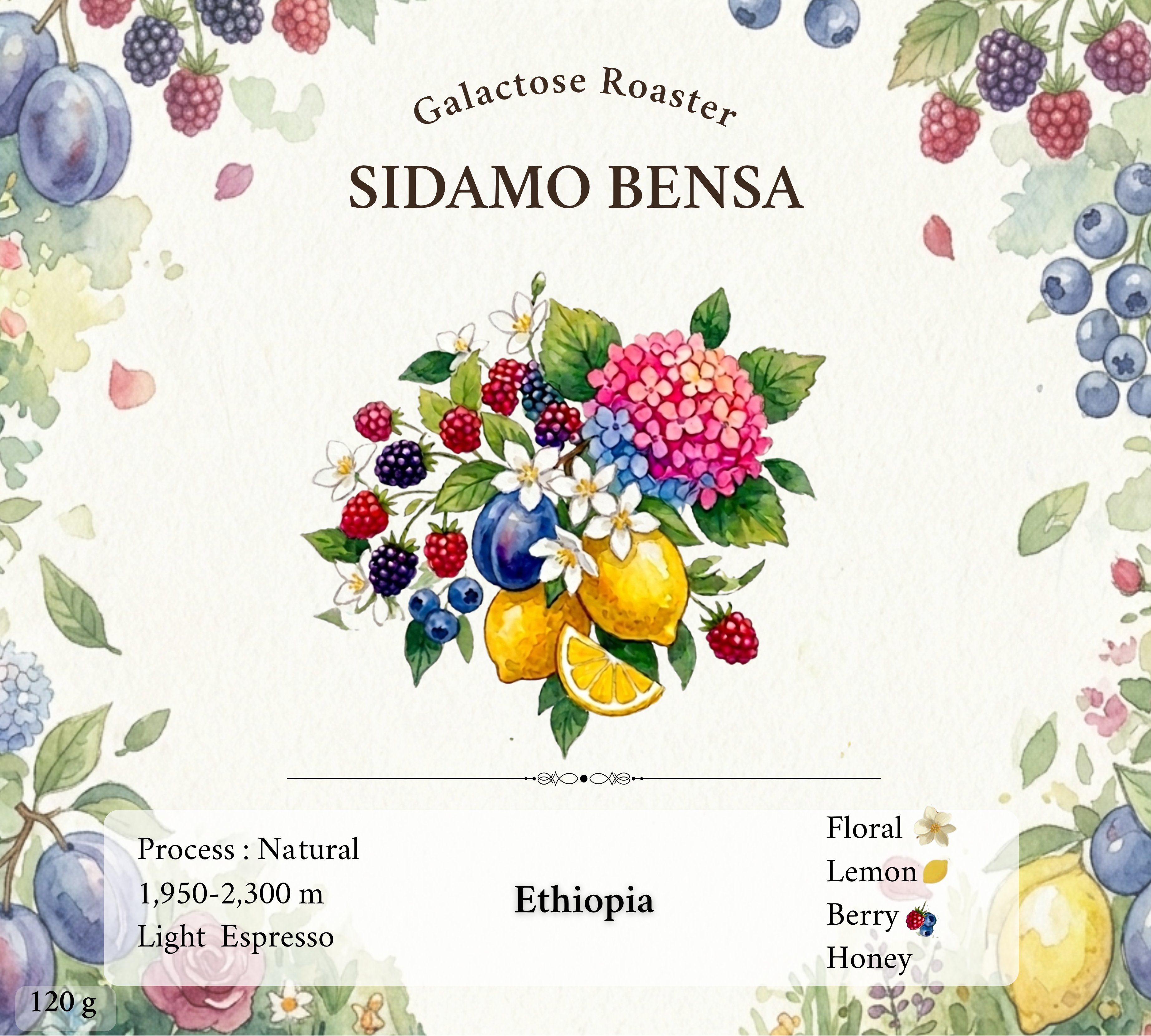 Sidamo Bensa
