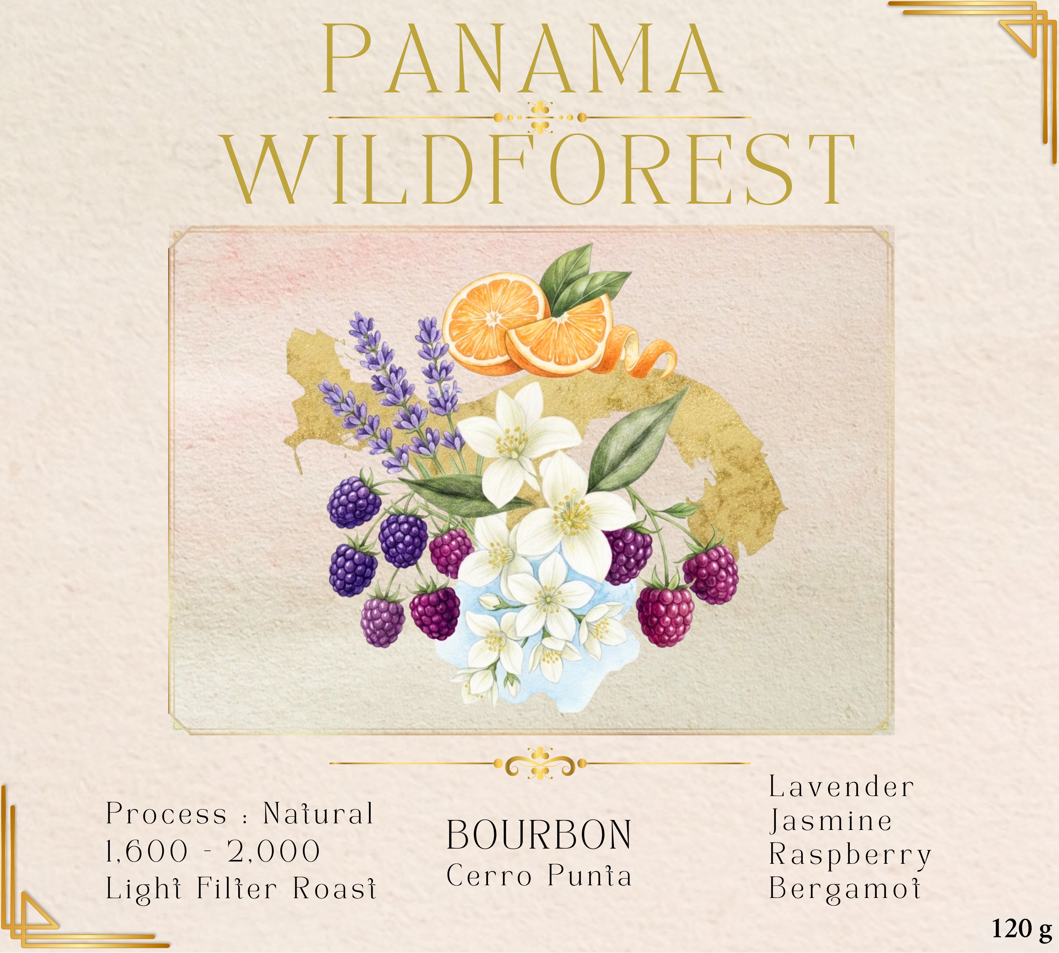 Panama Wildforest