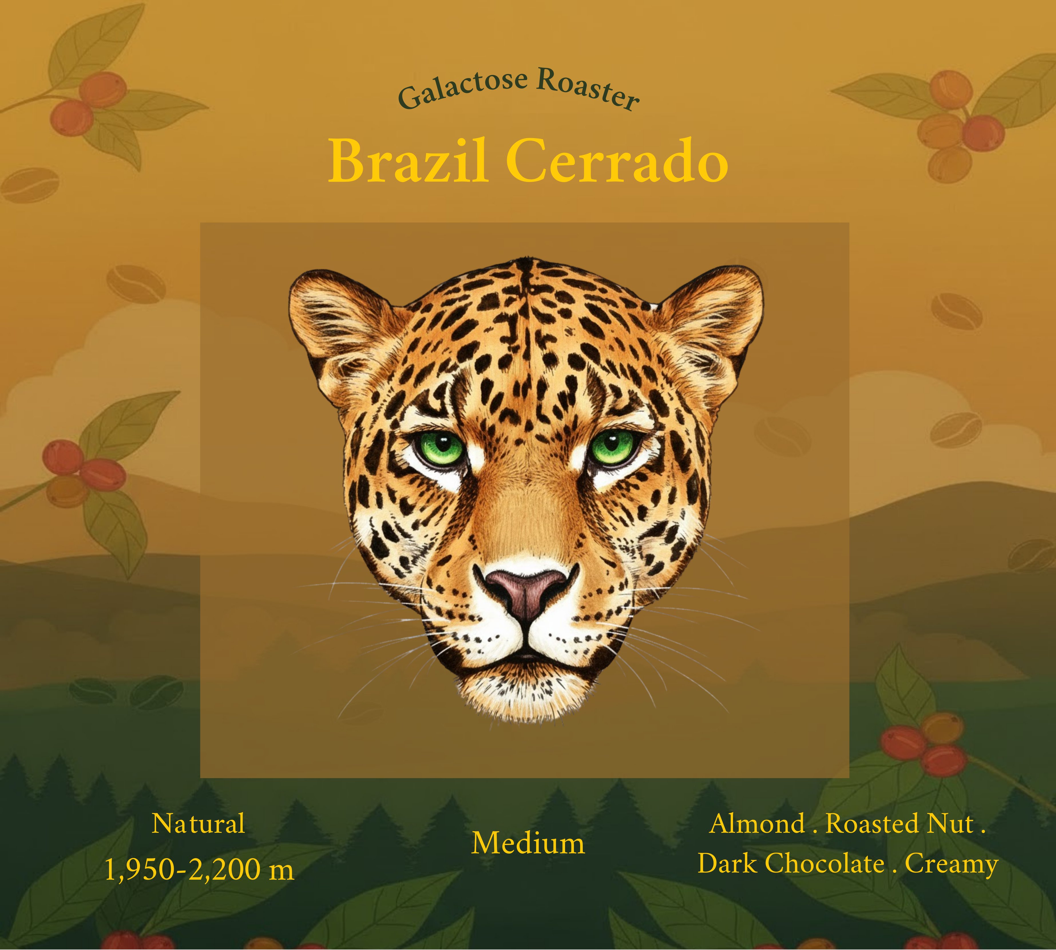 Brazil Cerrado
