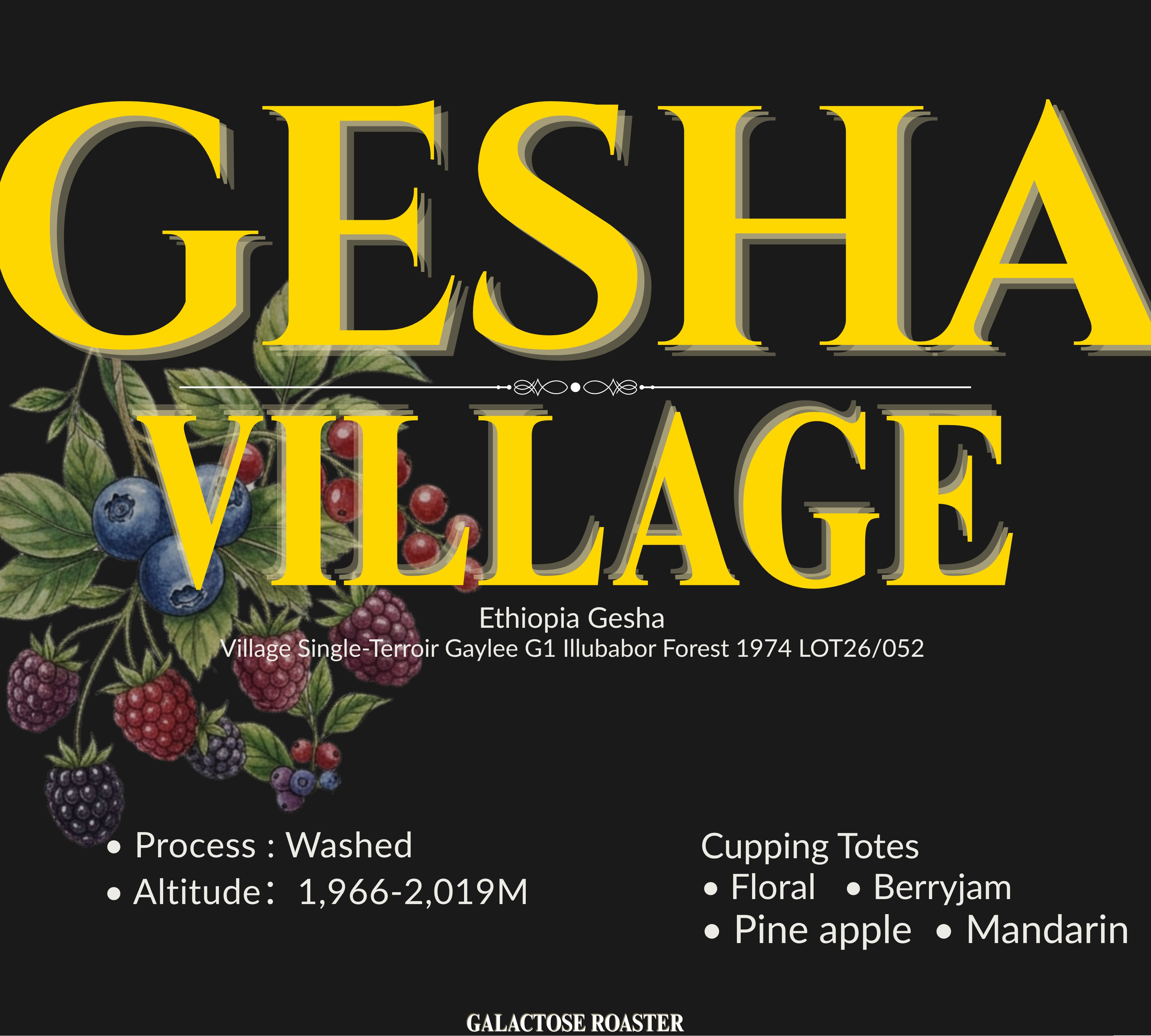 Gesha Village