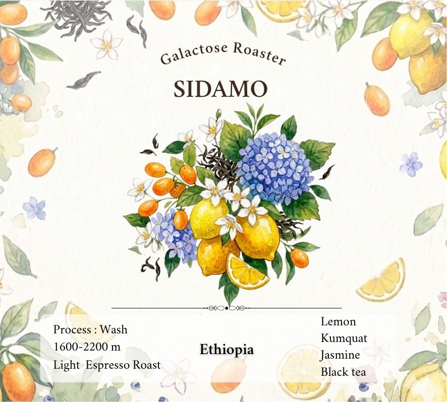 Sidamo Wash